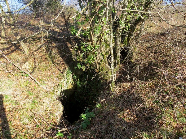 Legarrea_05