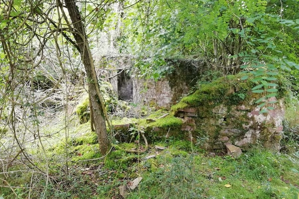 BERA1