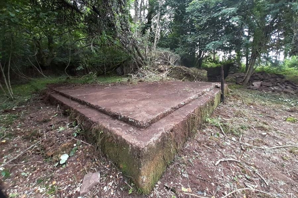 BERA14