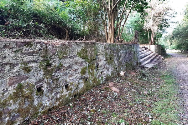 BERA15