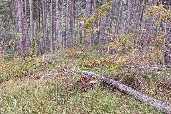 Ruta-muskilda2