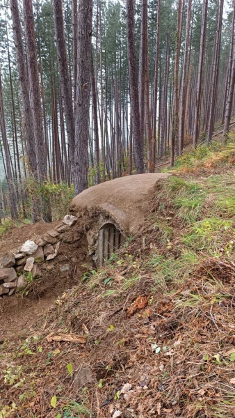 Ruta-muskilda6