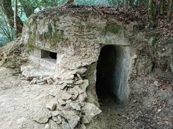 ISABA3
