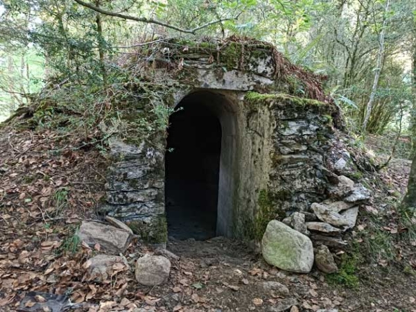 ISABA5