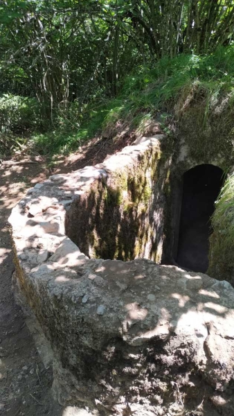 ISABA4