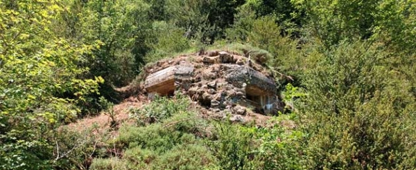 ISABA7