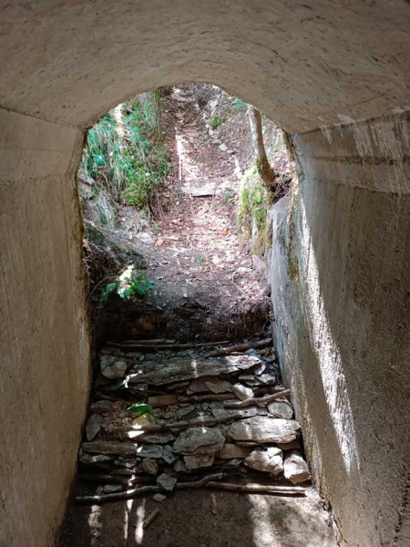 ISABA9