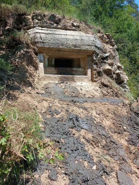 ISABA8