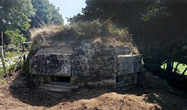 aezkoagrande